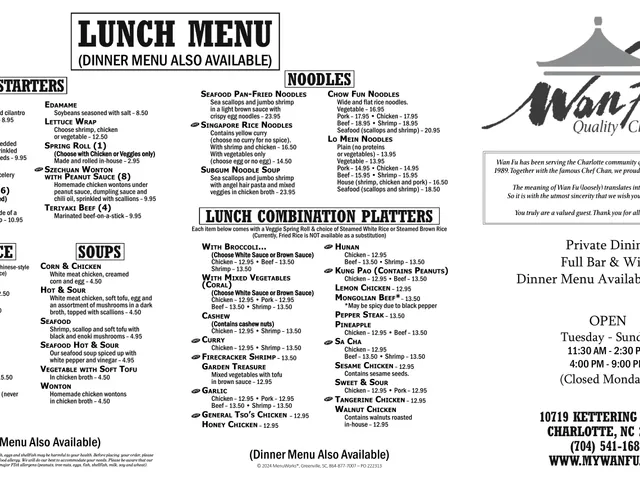 Wan Fu complete lunch menu page listing starters, fried rice, soups, noodles, and lunch combination platters, plus restaurant hours and contact details
