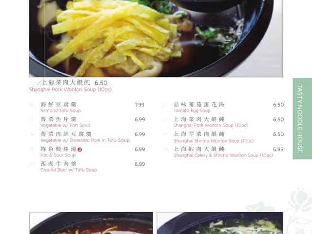 Tasty Noodle House complete menu page 3, soups