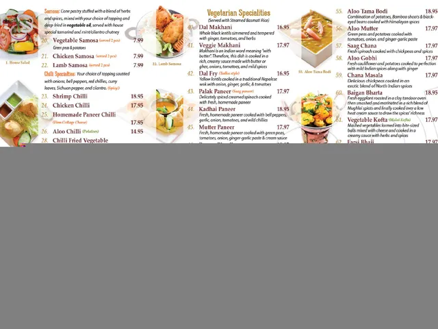 Chicago Curry House carryout menu page listing sections from salads and soups through chicken specialties