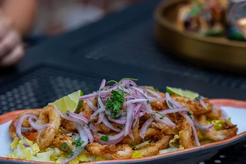 Peruvian dish topped with sliced onions at Pisco