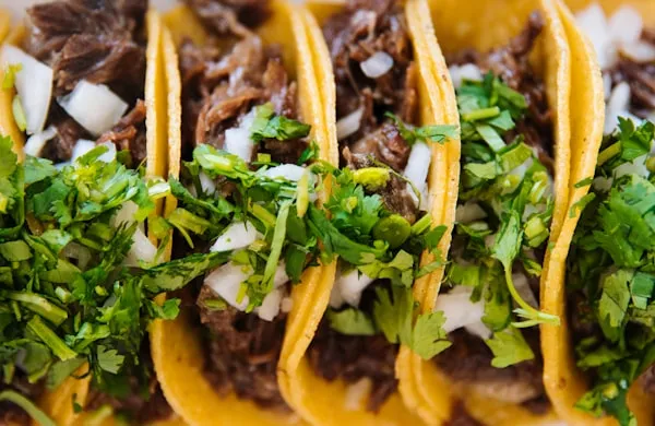 Plate of crispy quesabirria tacos with consomé broth dipping sauce at Tacos El Patron