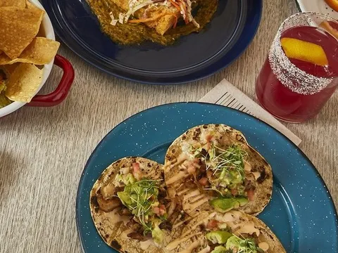 Shared plates at Barrio Costero in Asbury Park: grilled tacos topped with avocado and microgreens on a blue plate, chips, an enchilada in salsa verde, and a hibiscus cocktail