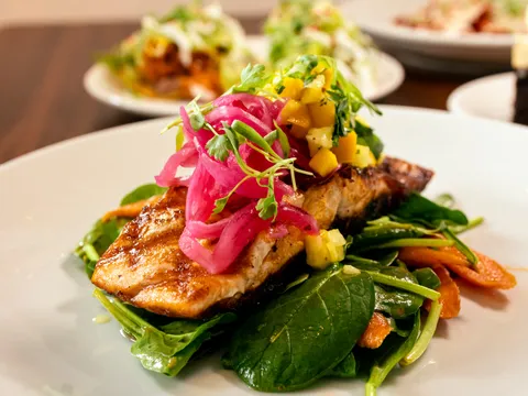 Zócalo's Salmon con Mango — a grilled salmon fillet with a mango glaze, tropical pico de gallo and pickled red onions over a spinach and carrot salad on a white plate