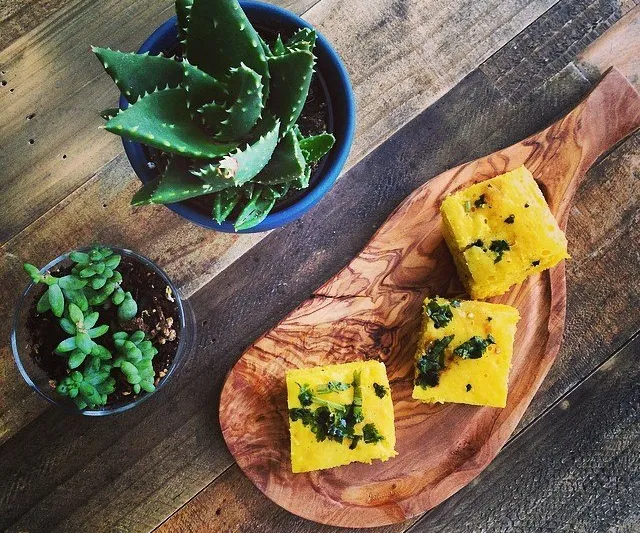 Squares of khaman dhokla topped with cilantro and green chili, served on a wooden board beside potted succulents at Usha Foods in Floral Park