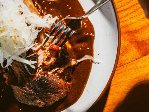 Wood-fired chicken in mole sauce topped with shaved radish and sesame seeds at Cruz Blanca in Chicago