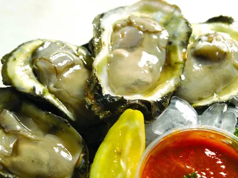 Fresh oysters on ice from Acme Oyster House in New Orleans.