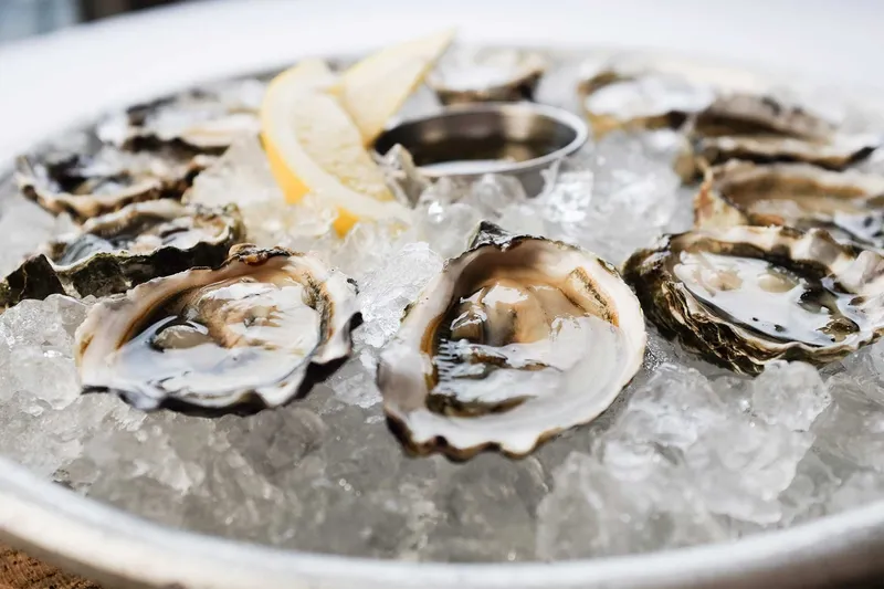 Platter of fresh oysters on ice at Spruce Farm & Fish