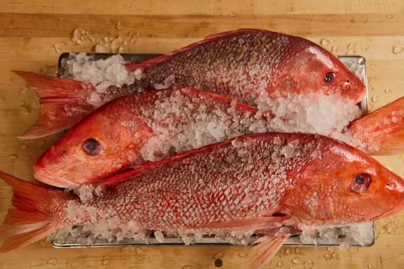 Three whole red snapper laid on crushed ice on a wooden board at Henrietta Red in Nashville