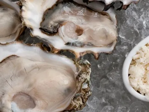 Fresh oysters on ice at The Walrus and the Carpenter