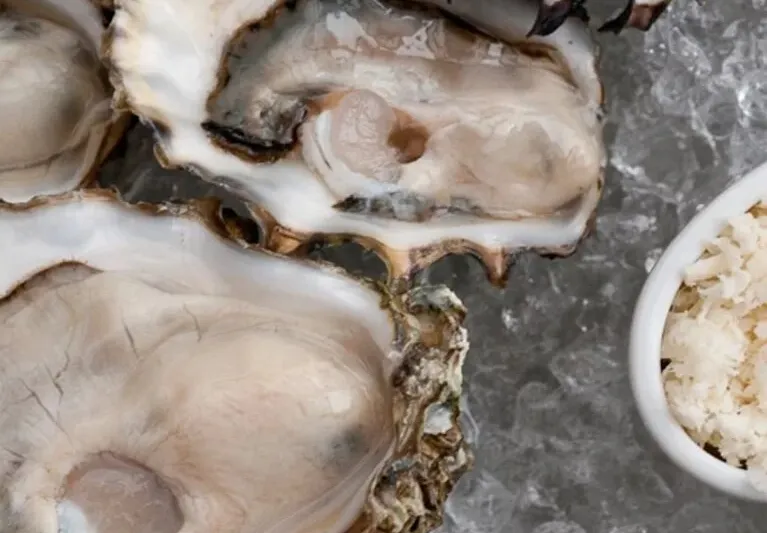 Fresh oysters on ice at The Walrus and the Carpenter