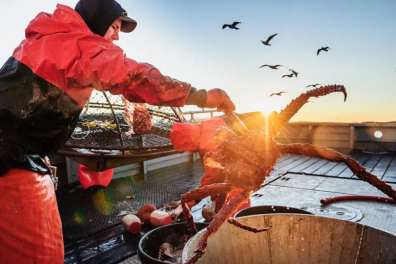 Red king crab at Tracy's King Crab Shack