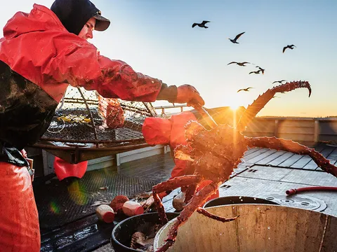 Red king crab at Tracy's King Crab Shack